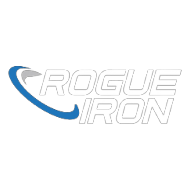 Rogue Iron Disc Golf