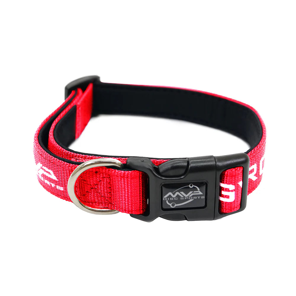 MVP Disc Golf Dog Collar – Adjustable Nylon Pet Collar | S & L