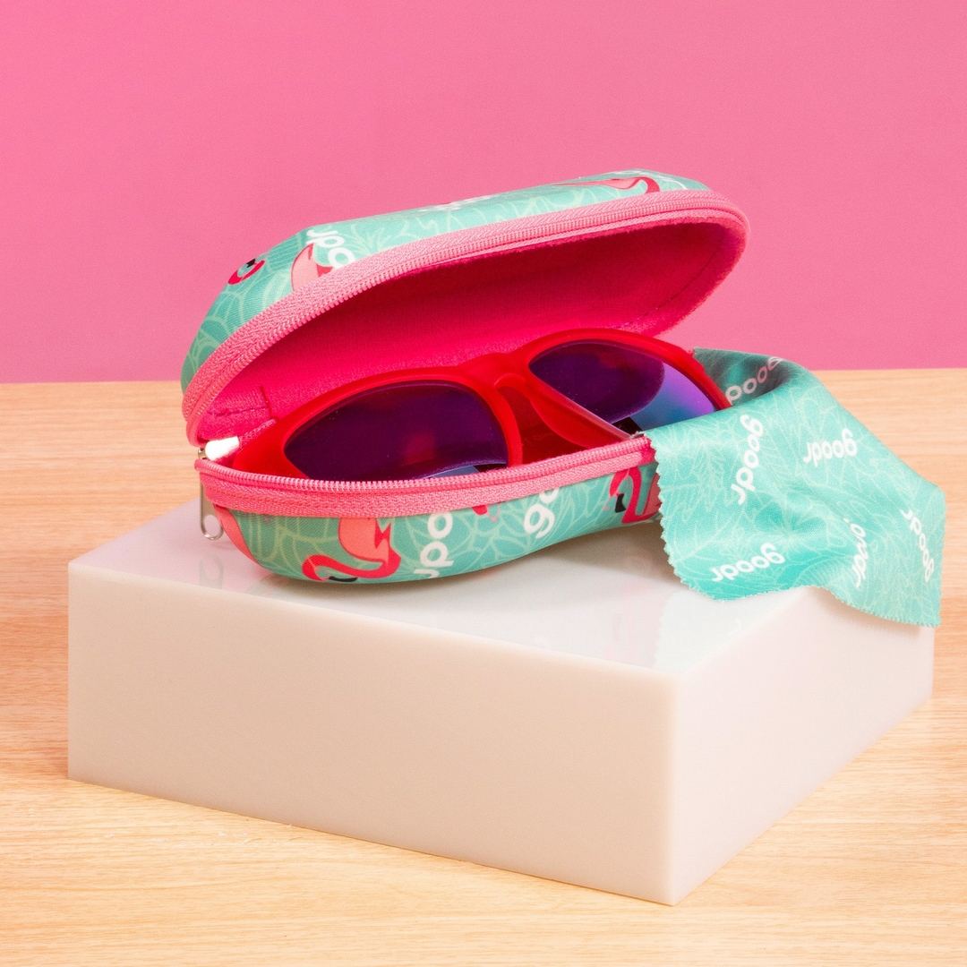 "Best Case Scenario” Sunglasses Case with Carabiner